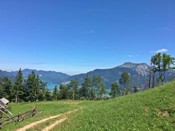 Ausblick auf den Schafberg