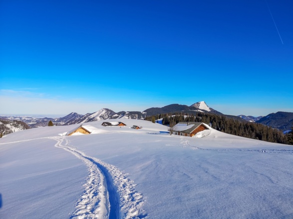 Tief eingeschneite Hütten der Feichtensteinalm die man hinter sich lässt um dem Rücken zu folgen.