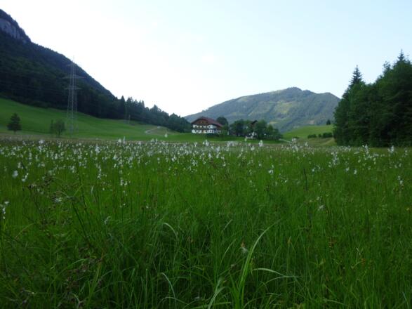 Hochebene hinter dem Mühlstein