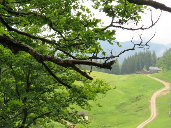 Gemütliche Wanderung zur Zwieselalmhütte (c)TVB Annaberg-Lungötz