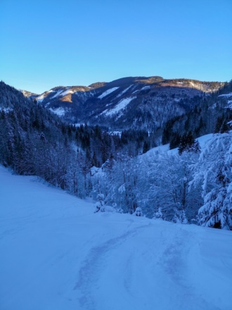 Rückblick nach Hintersee - ca. 20 Minuten nach dem Start - der Anstieg über die erste freie Wiese