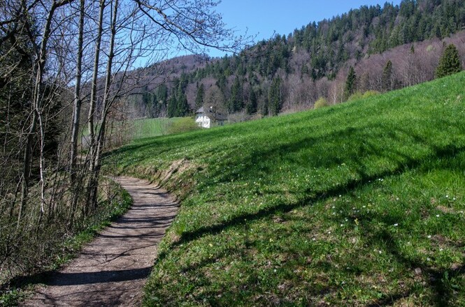 Rundwanderweg Fuschlsee