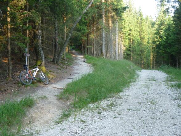 hier links den Pfad nach oben