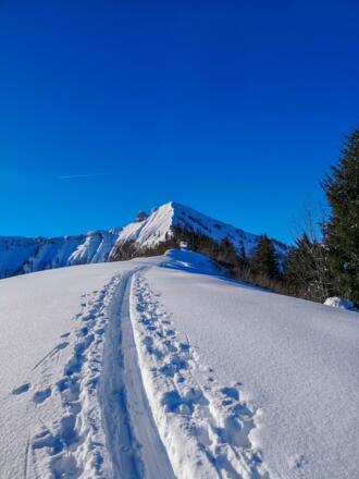 Die Route führt logisch über den Rücken und wird immer schmäler bis zum Grat hin.