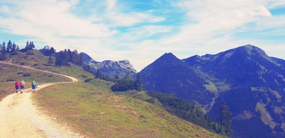 Güterweg Richtung Turnaualm und Rinnbergalm