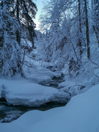 Direkt nach dem Start - Waldwasserzauberweg in Hintersee
