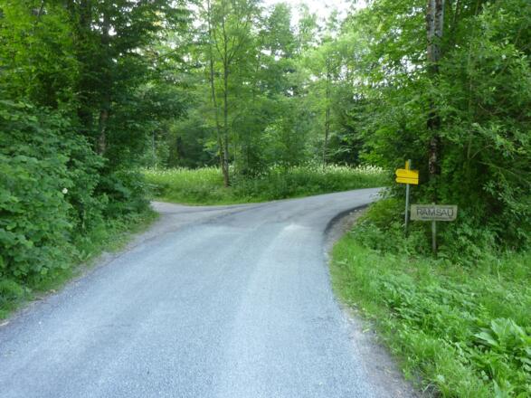 hier nach links in die Glasenbachklamm