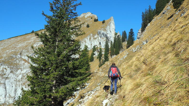 Querung zum Purtschellersteig