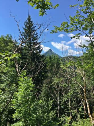 Aussicht vom Wanderweg