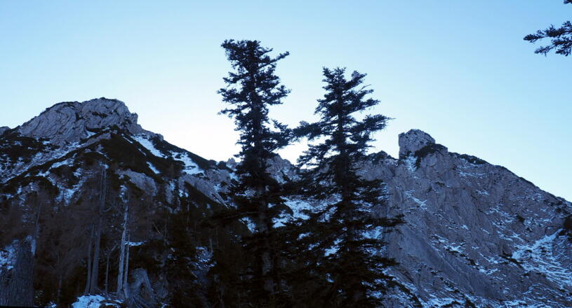 Am NW-Grat, Gipfelblick um 1520m