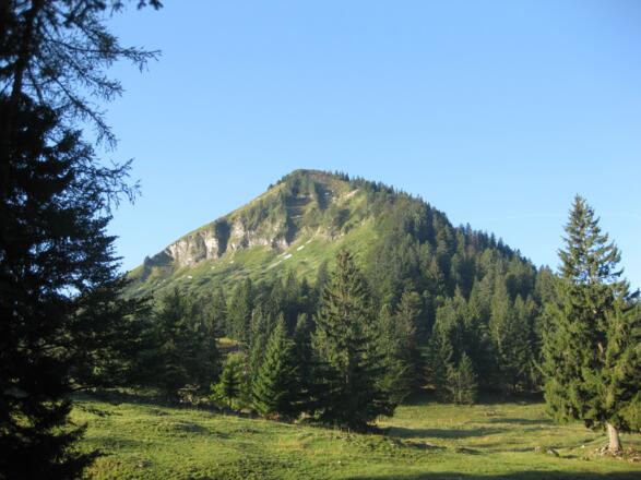 Königsberghorn