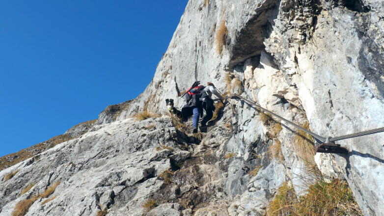 am Purtschellersteig ~1425m - 1515m