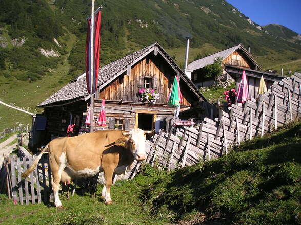 Rinnbergalm bei Rußbach