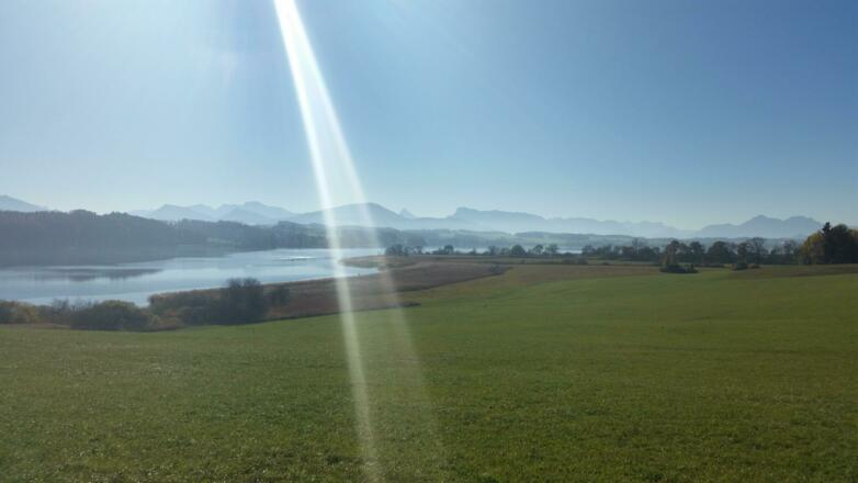 Ausblick auf den Wallersee