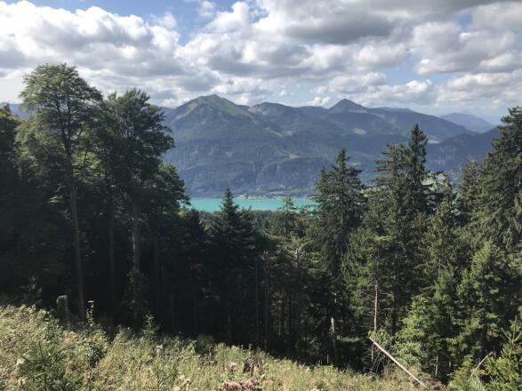 Blick auf Wolfgangsee