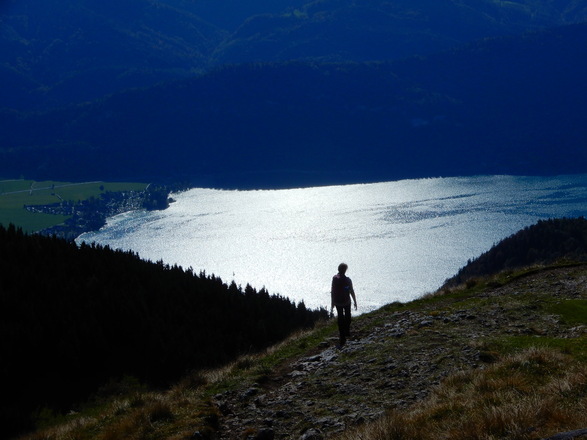 Zur Schafbergalm