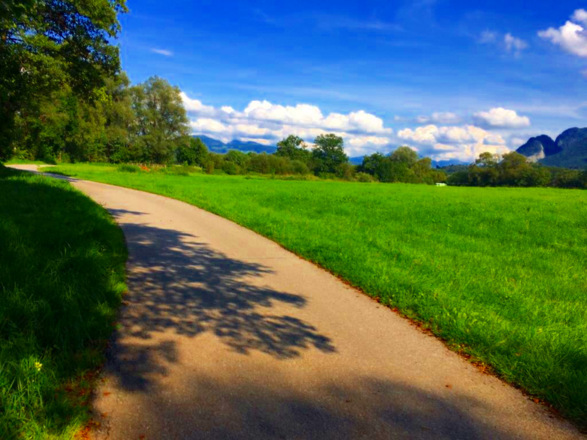 Radweg Mooswiese