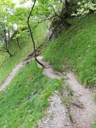 Serpentinen durch den Wald