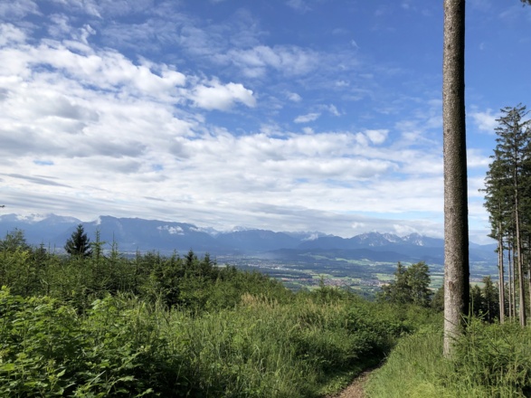 Aussicht auf das Salzburger Land