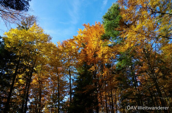 Die Voralpen - perfektes Vor- und Nachsaisonsprogramm
