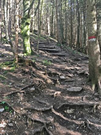 Wanderweg