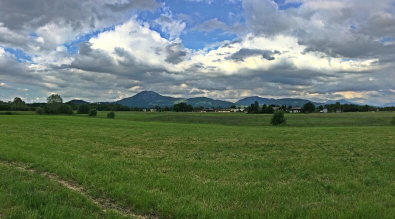 Panoramabild