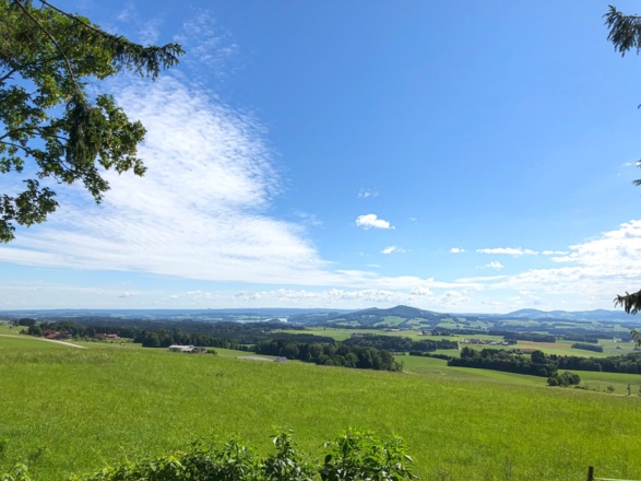 Ausblick auf das Salzburger Seenland