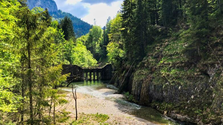 Wildbachsperre am Schafbach