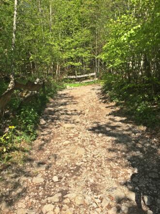 Wanderweg Richtung Ruine