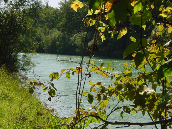 Entlang der Saalach von Siezenheim nach Wals