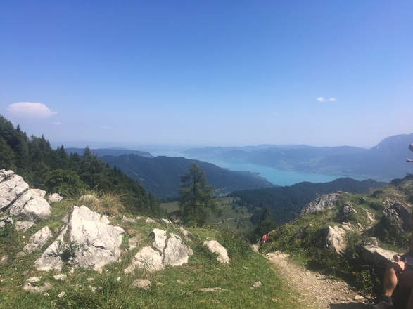 Blick auf den Wolfgangsee