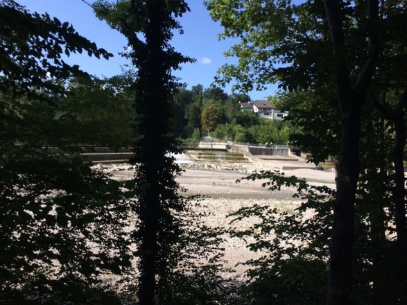 Laufen in Wals