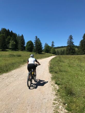 Radweg rund um den Schafberg
