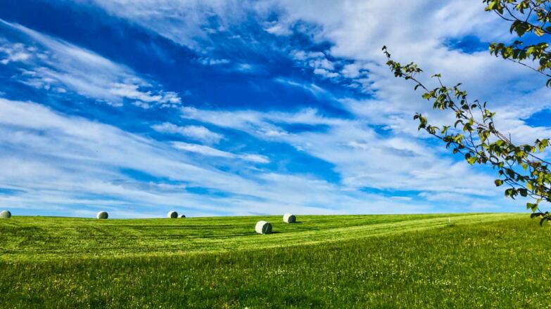 Landschaft am Mühlbergweg