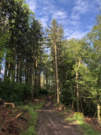 Wegkehre