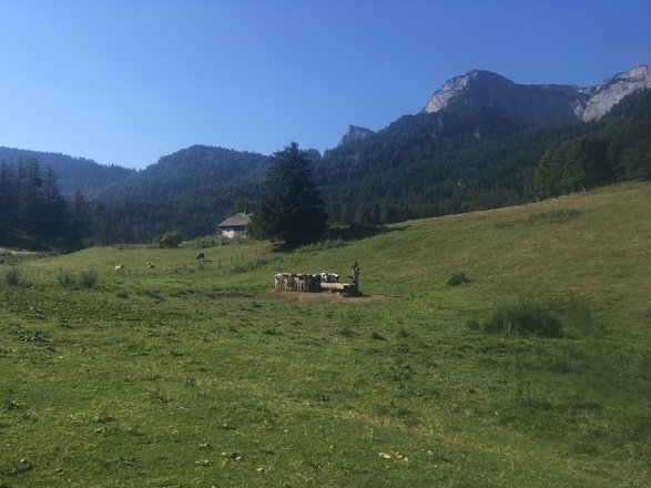 Almengebiet