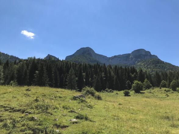 Aussicht im schönen Salzkammergut