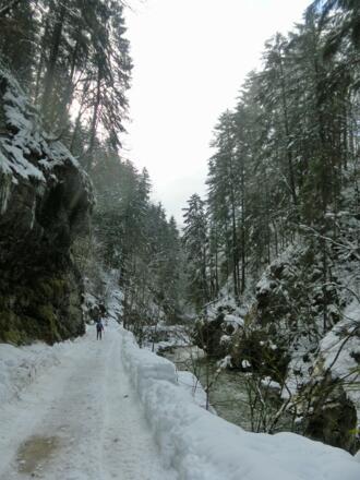 Bachschlucht