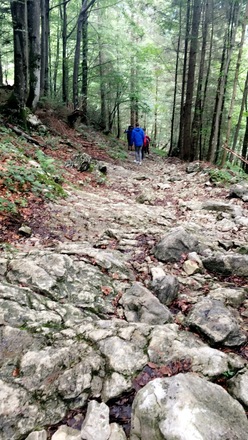 Alte Weg Richtung Gruberalm