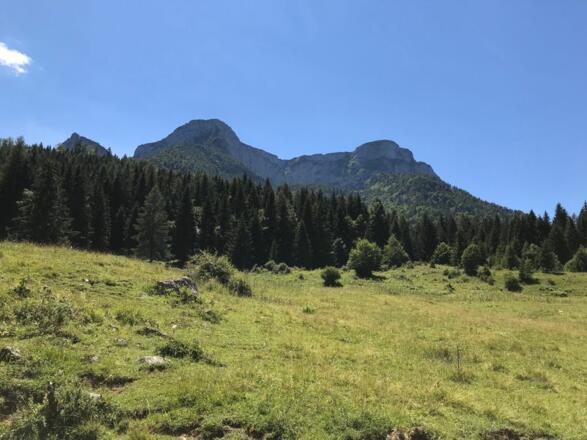 Aussicht im schönen Salzkammergut