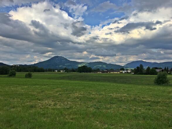 Blick in die Stadt Salzburg