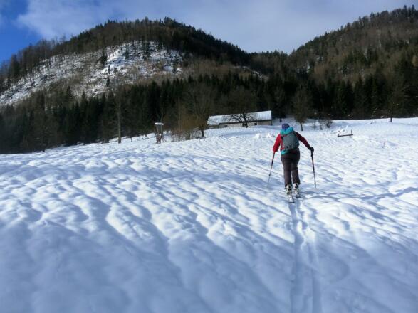 Adamalm