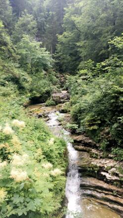 Wanderweg