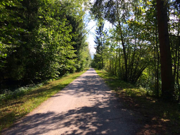 Radweg entlang der Saalach