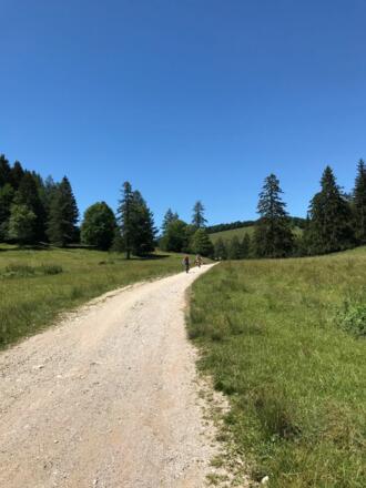 Radweg rund um den Schafberg