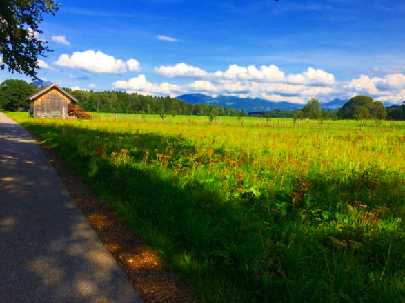 Laufen in Wals