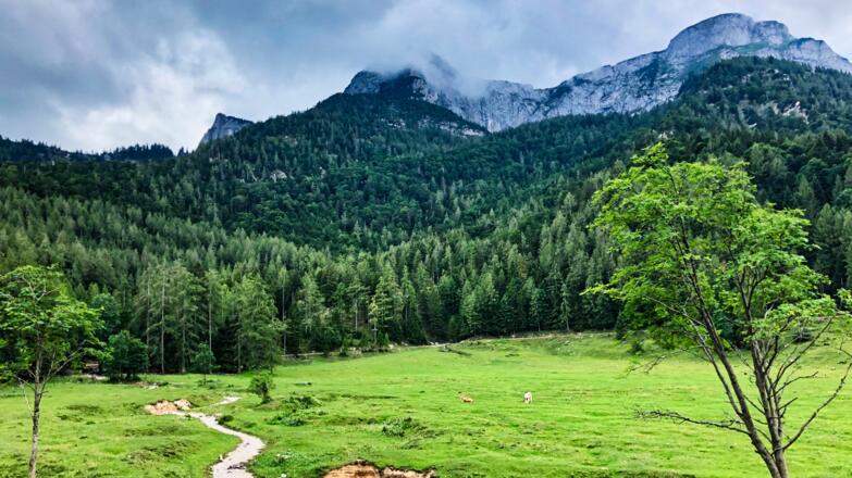 Am Fuße des Schafbergs auf der Eisenaualm