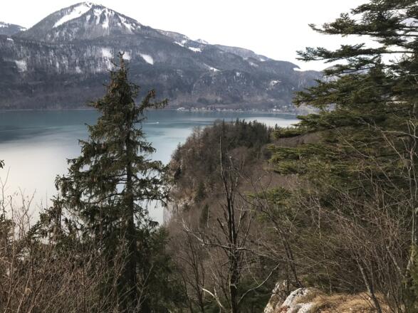 Ausblick auf den Wolfgangsee