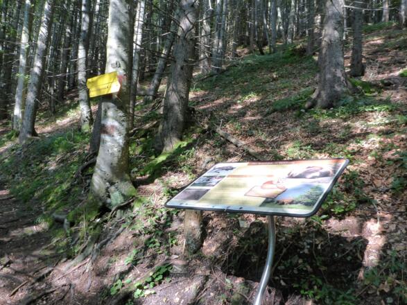 lnfotafel am Bärenweg