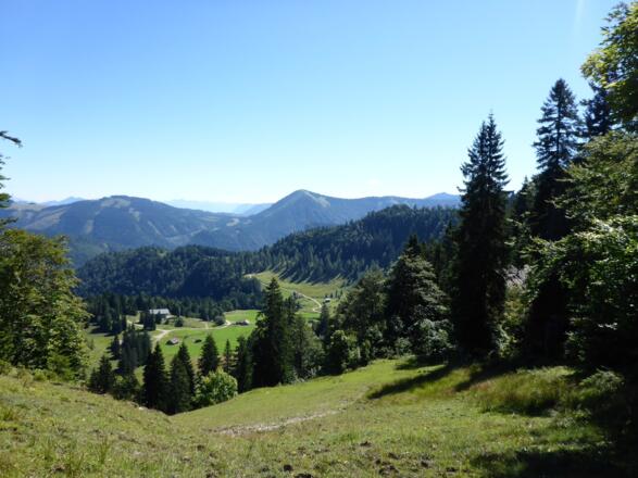 Blick auf die Anzenbergalm